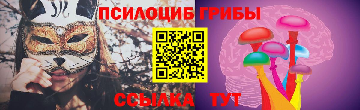 Бийск  Псилоцибиновые грибы Cubensis  Вход с VPN 